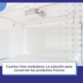 Cuartos fríos modulares: La solución para tus productos frescos